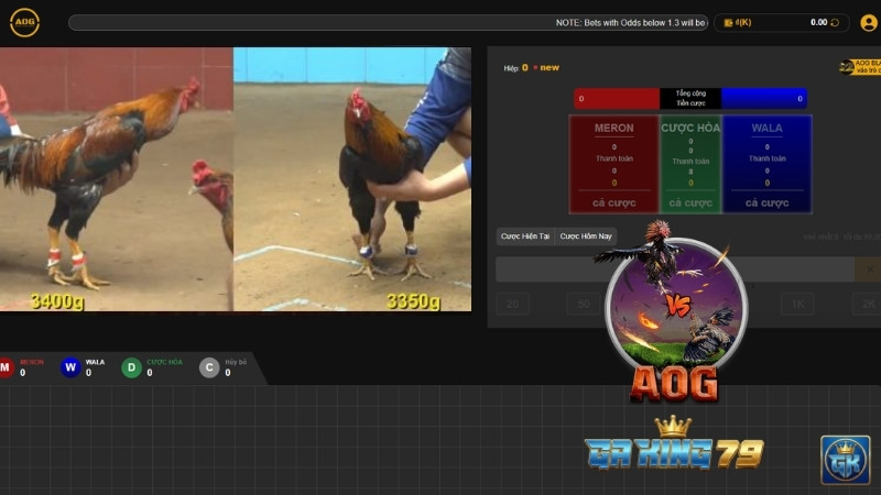 Giao diện sảnh Đá Gà AOG (AOG GAFF COCKFIGHT)