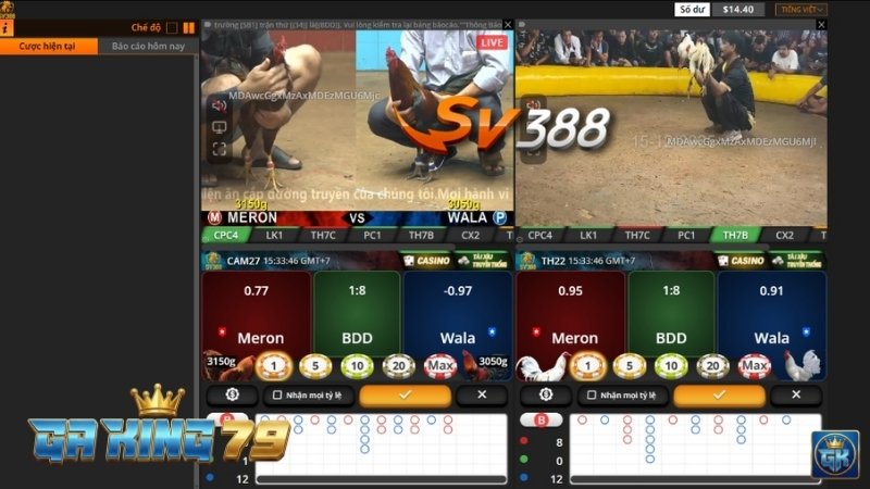 Giao diện Sảnh Đá Gà SV388