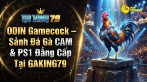 odin gamecock sanh da ga cam va ps1 dang cap tai gaking79 1
